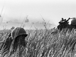 Vietnam Soldier in the Grass